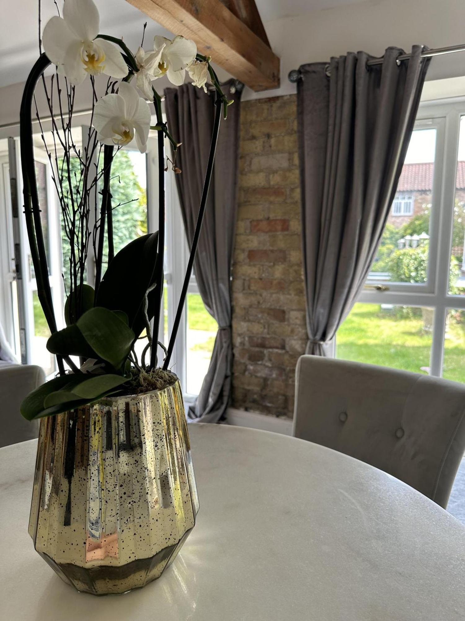 The Luxury Annex At Barmby Moor House Apartment York Ngoại thất bức ảnh
